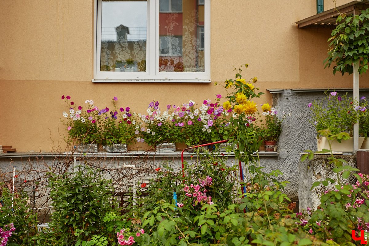 Юлия Лобова знает Пиганово от и до. Она приехала сюда с Урала в четырехлетнем возрасте. Жила в пятиэтажке с родителями, потом построила с мужем дом, вырастила двоих детей, теперь воспитывает внуков. Городской микрорайон менялся на ее глазах. Каким он был полвека назад, владимирский искусствовед рассказала «Ключ-Медиа».