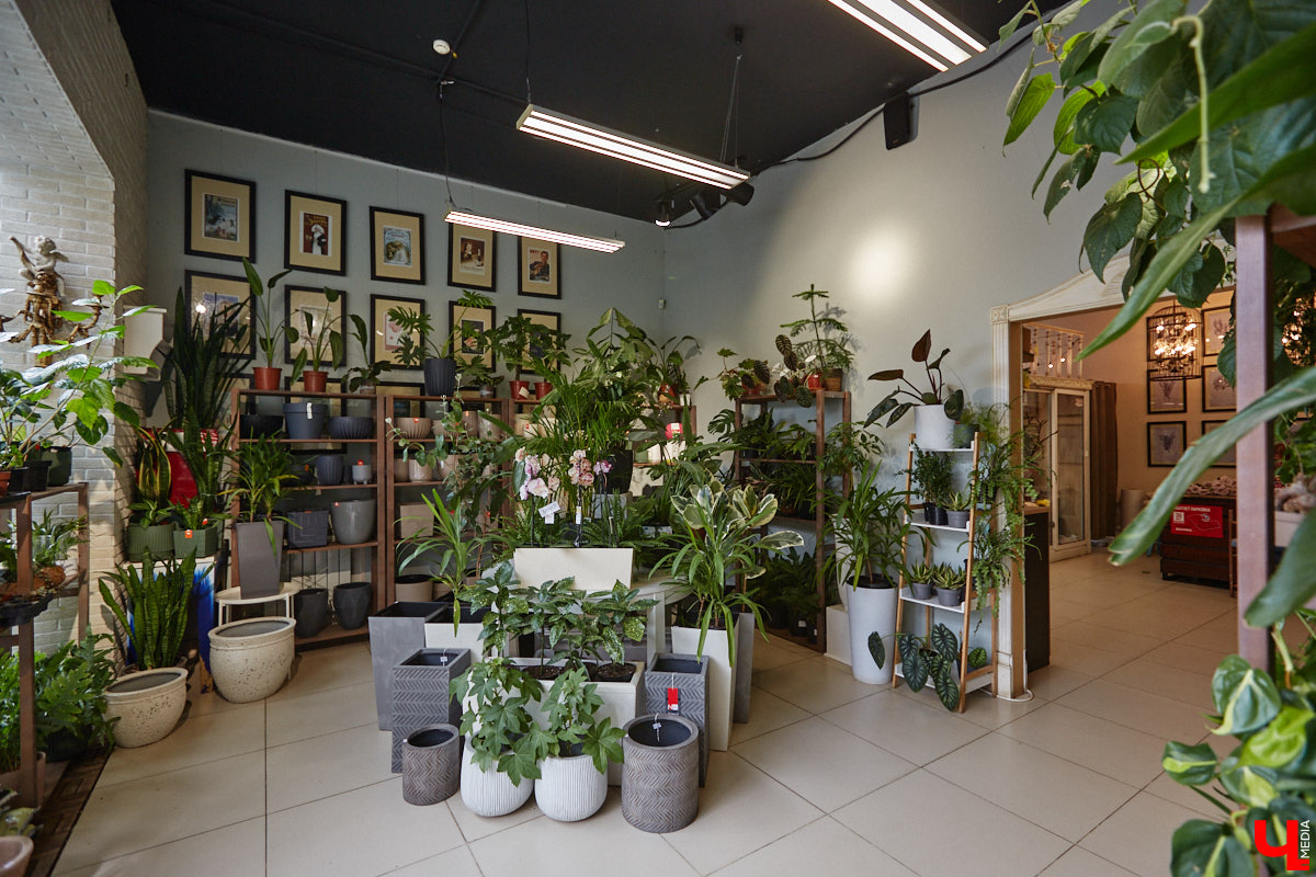 В день рождения принято дарить цветы, но владимирский бренд «Флора центр» ломает стереотипы. Сети салонов исполнилось 20 лет, и за это время она научилась сама собирать букеты под любой запрос. В честь знаменательной даты предлагаем вспомнить самые яркие вехи проекта.