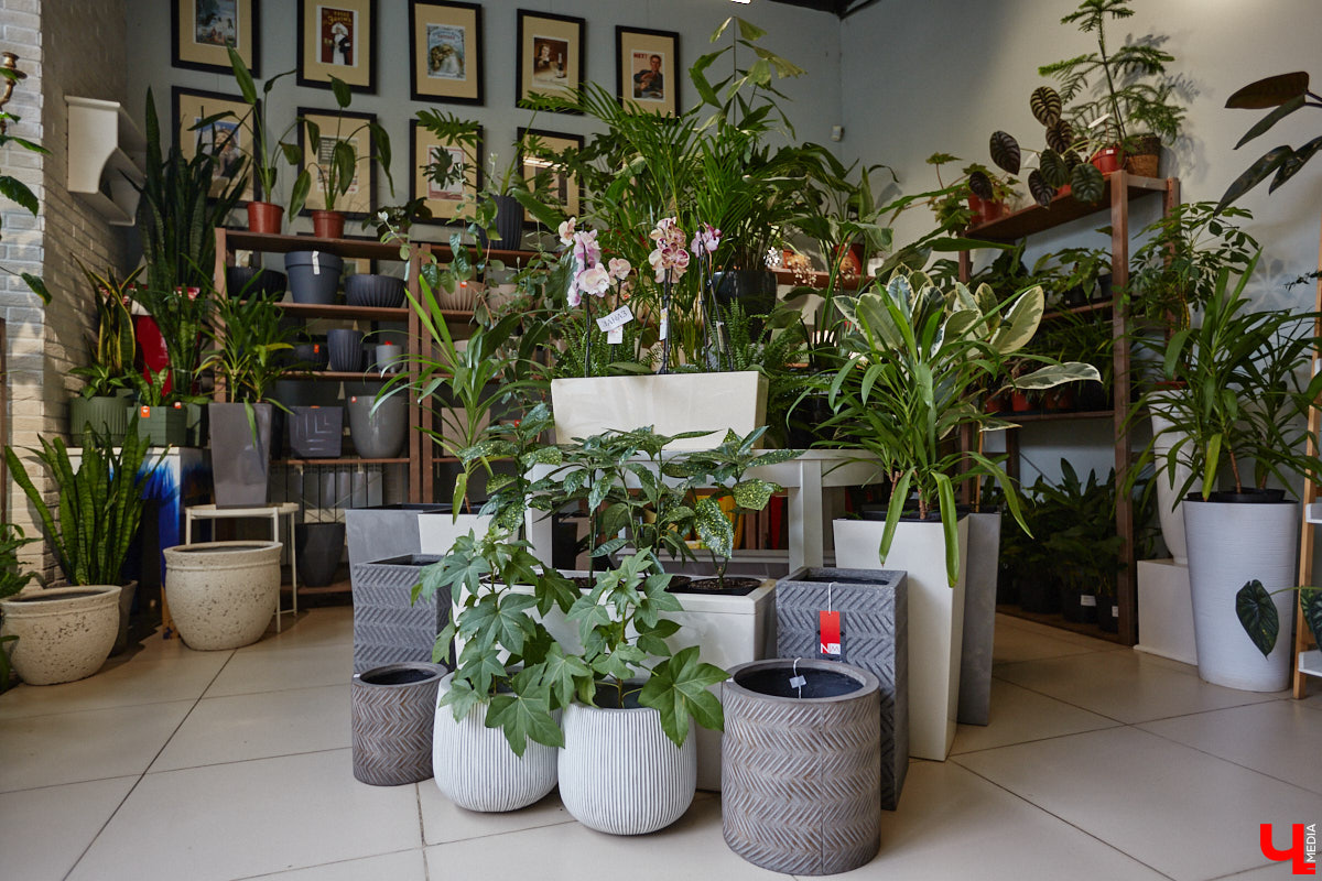 В день рождения принято дарить цветы, но владимирский бренд «Флора центр» ломает стереотипы. Сети салонов исполнилось 20 лет, и за это время она научилась сама собирать букеты под любой запрос. В честь знаменательной даты предлагаем вспомнить самые яркие вехи проекта.