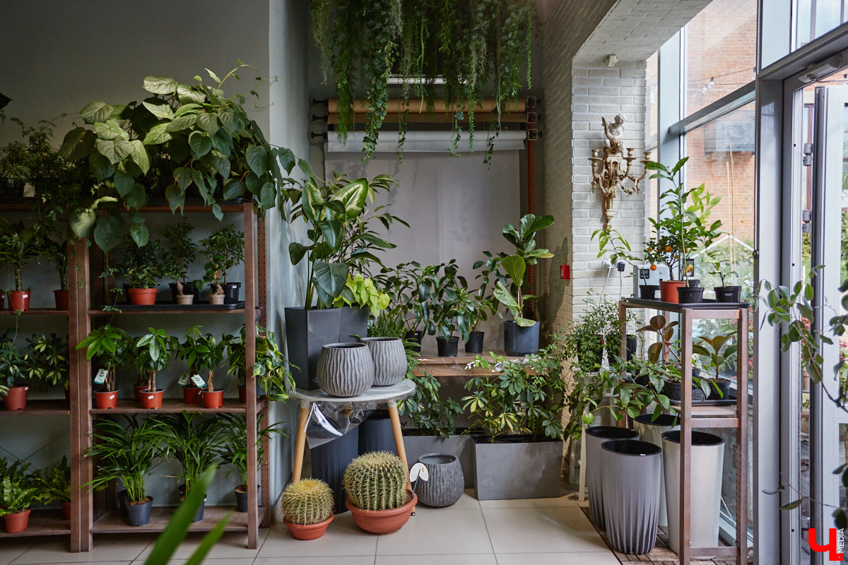 В день рождения принято дарить цветы, но владимирский бренд «Флора центр» ломает стереотипы. Сети салонов исполнилось 20 лет, и за это время она научилась сама собирать букеты под любой запрос. В честь знаменательной даты предлагаем вспомнить самые яркие вехи проекта.