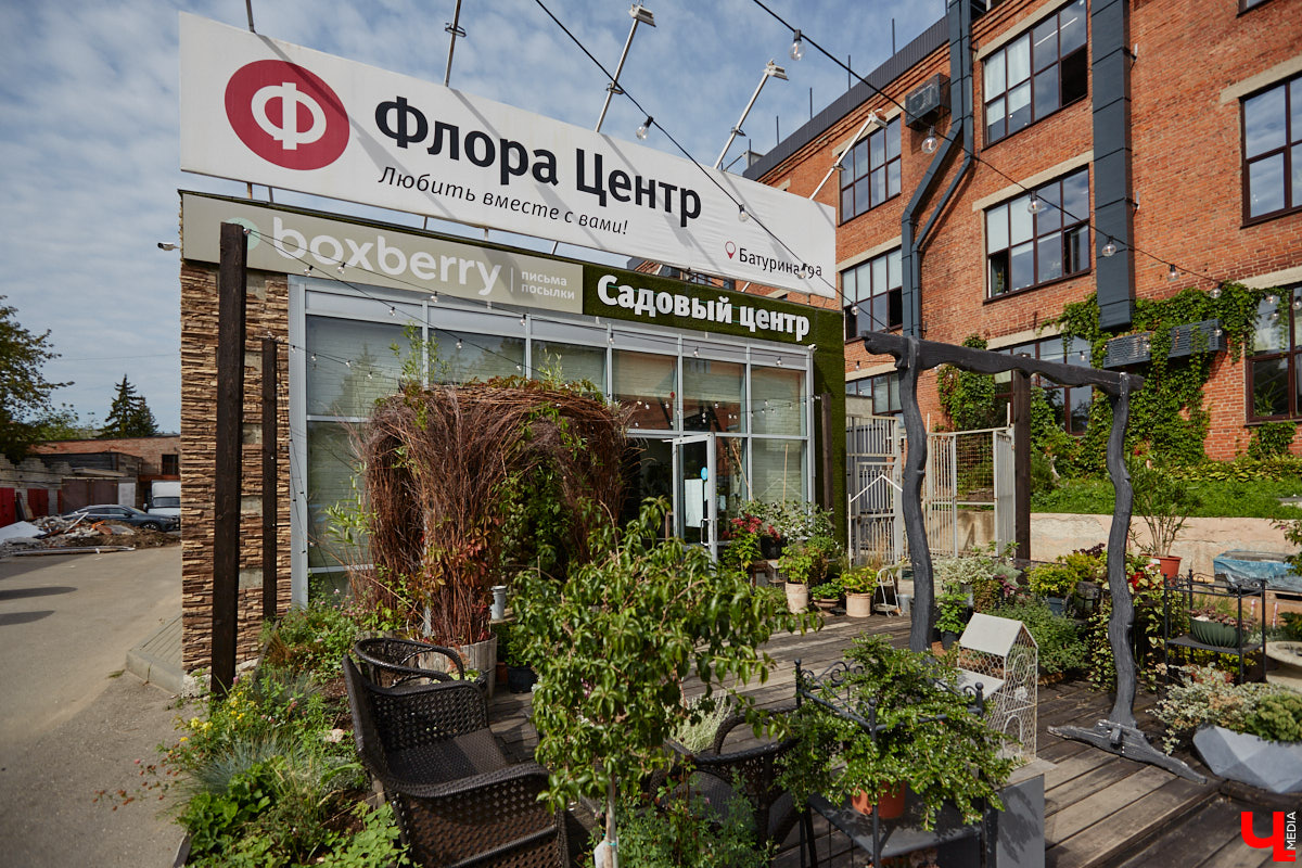 В день рождения принято дарить цветы, но владимирский бренд «Флора центр» ломает стереотипы. Сети салонов исполнилось 20 лет, и за это время она научилась сама собирать букеты под любой запрос. В честь знаменательной даты предлагаем вспомнить самые яркие вехи проекта.