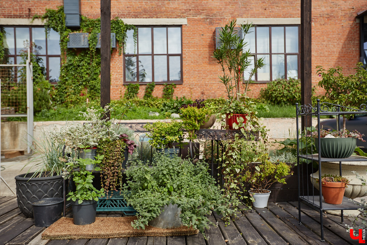 В день рождения принято дарить цветы, но владимирский бренд «Флора центр» ломает стереотипы. Сети салонов исполнилось 20 лет, и за это время она научилась сама собирать букеты под любой запрос. В честь знаменательной даты предлагаем вспомнить самые яркие вехи проекта.