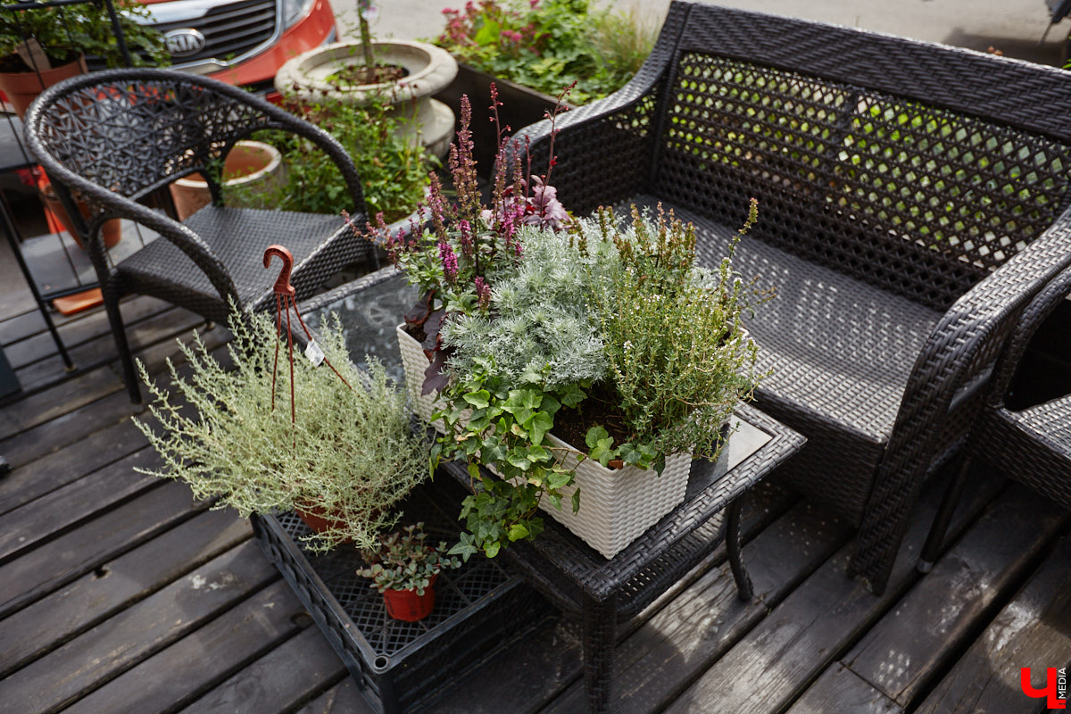 В день рождения принято дарить цветы, но владимирский бренд «Флора центр» ломает стереотипы. Сети салонов исполнилось 20 лет, и за это время она научилась сама собирать букеты под любой запрос. В честь знаменательной даты предлагаем вспомнить самые яркие вехи проекта.