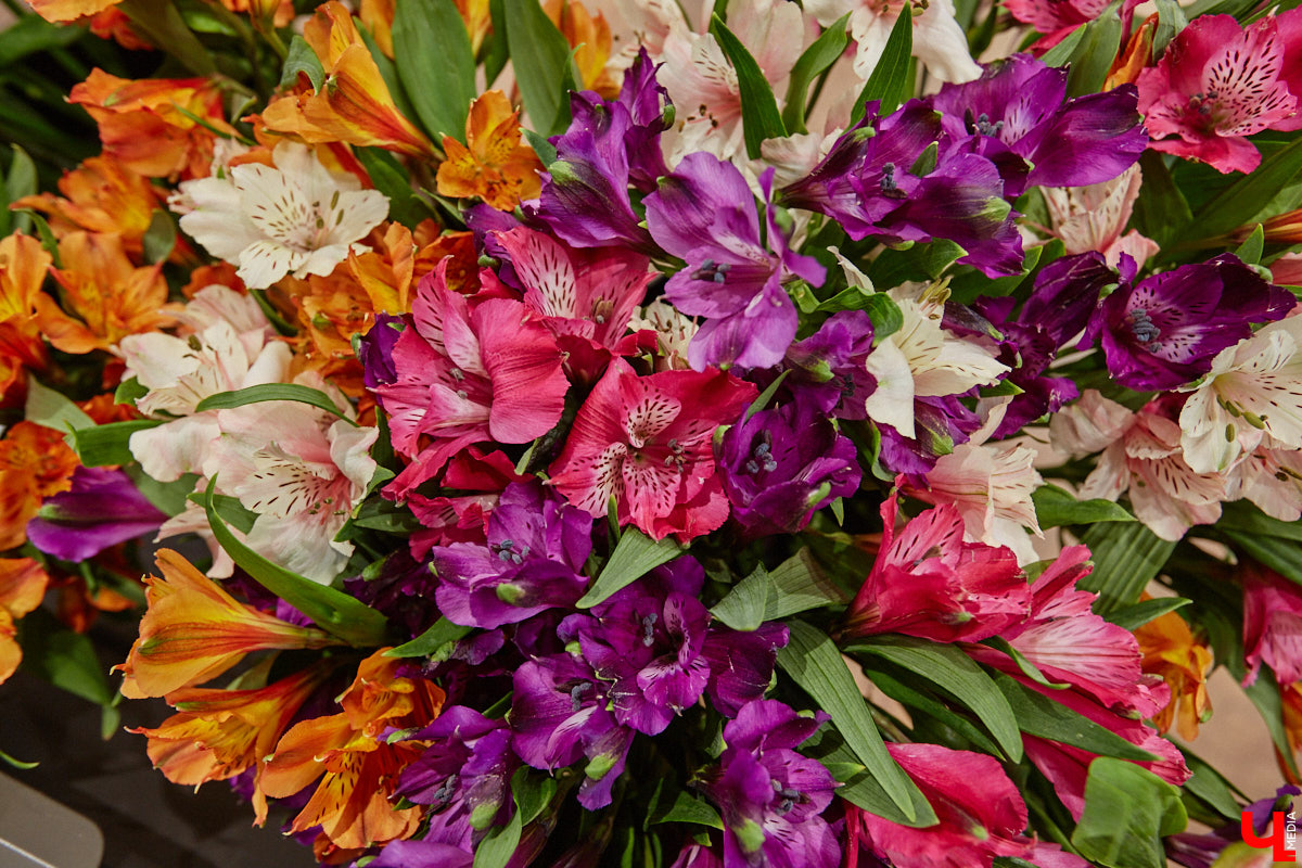 В день рождения принято дарить цветы, но владимирский бренд «Флора центр» ломает стереотипы. Сети салонов исполнилось 20 лет, и за это время она научилась сама собирать букеты под любой запрос. В честь знаменательной даты предлагаем вспомнить самые яркие вехи проекта.