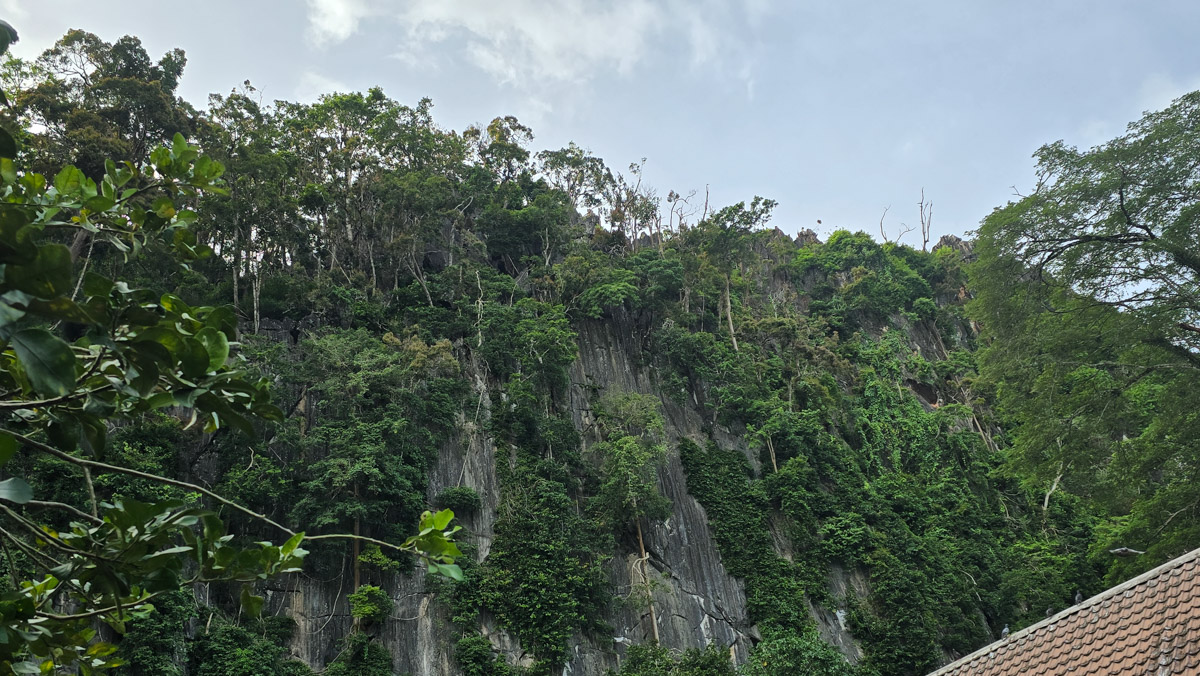 Сейчас бы на море! Чтобы белый песок, голубой океан, пальмы с кокосами и… кузнечики на обед?! Догадались, про какую страну речь? Правильно, мы о Таиланде, где недавно побывал владимирский турист Никита Овчинников-Коваринс. Молодой человек сполна насладился азиатской экзотикой, а полученными впечатлениями поделился с «Ключ-Медиа». Особенно относительно местной еды!