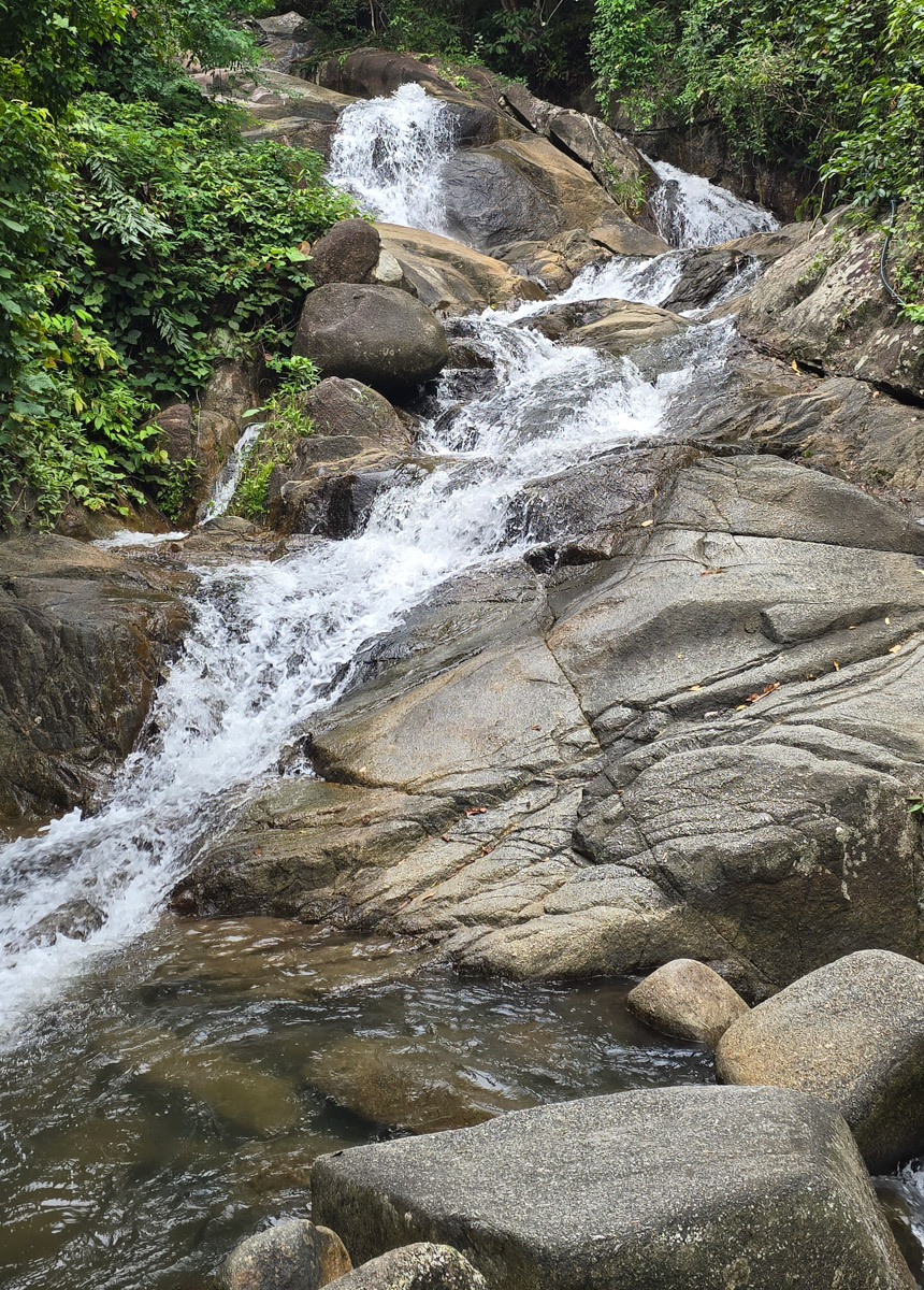 Сейчас бы на море! Чтобы белый песок, голубой океан, пальмы с кокосами и… кузнечики на обед?! Догадались, про какую страну речь? Правильно, мы о Таиланде, где недавно побывал владимирский турист Никита Овчинников-Коваринс. Молодой человек сполна насладился азиатской экзотикой, а полученными впечатлениями поделился с «Ключ-Медиа». Особенно относительно местной еды!