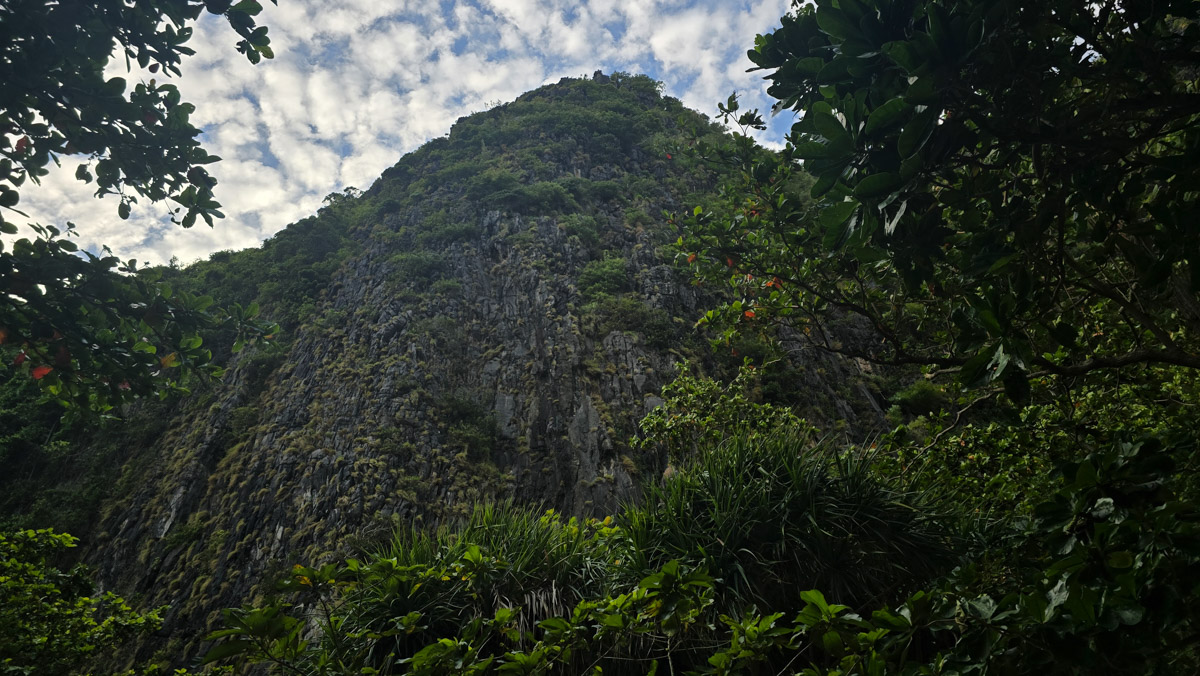 Сейчас бы на море! Чтобы белый песок, голубой океан, пальмы с кокосами и… кузнечики на обед?! Догадались, про какую страну речь? Правильно, мы о Таиланде, где недавно побывал владимирский турист Никита Овчинников-Коваринс. Молодой человек сполна насладился азиатской экзотикой, а полученными впечатлениями поделился с «Ключ-Медиа». Особенно относительно местной еды!