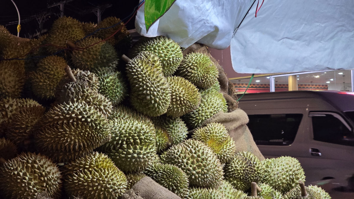 Сейчас бы на море! Чтобы белый песок, голубой океан, пальмы с кокосами и… кузнечики на обед?! Догадались, про какую страну речь? Правильно, мы о Таиланде, где недавно побывал владимирский турист Никита Овчинников-Коваринс. Молодой человек сполна насладился азиатской экзотикой, а полученными впечатлениями поделился с «Ключ-Медиа». Особенно относительно местной еды!