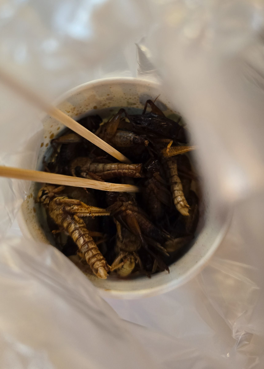 Сейчас бы на море! Чтобы белый песок, голубой океан, пальмы с кокосами и… кузнечики на обед?! Догадались, про какую страну речь? Правильно, мы о Таиланде, где недавно побывал владимирский турист Никита Овчинников-Коваринс. Молодой человек сполна насладился азиатской экзотикой, а полученными впечатлениями поделился с «Ключ-Медиа». Особенно относительно местной еды!