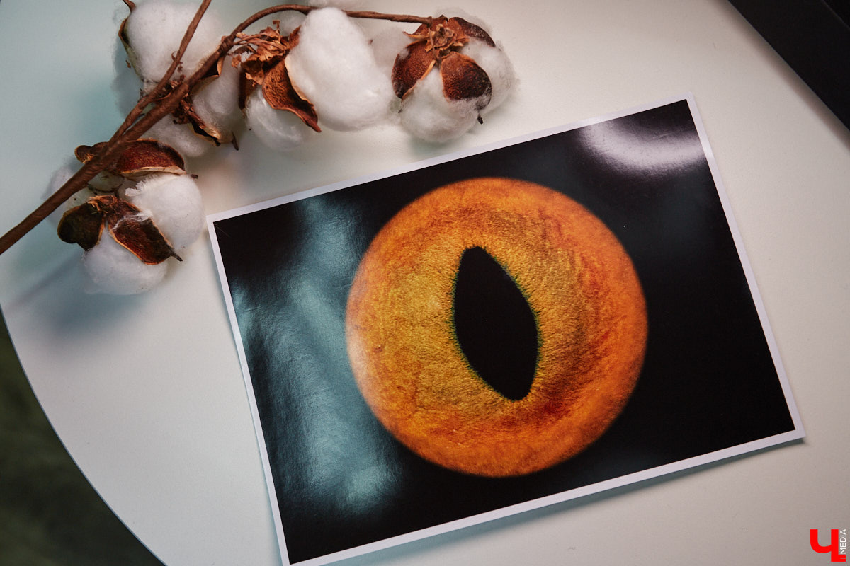 Красота в глазах смотрящего. Эту фразу можно интерпретировать по-разному. Например, местные ребята Елизавета Захарова и Владимир Фролов предпочитают заглядывать в окна души и фотографировать личные вселенные.