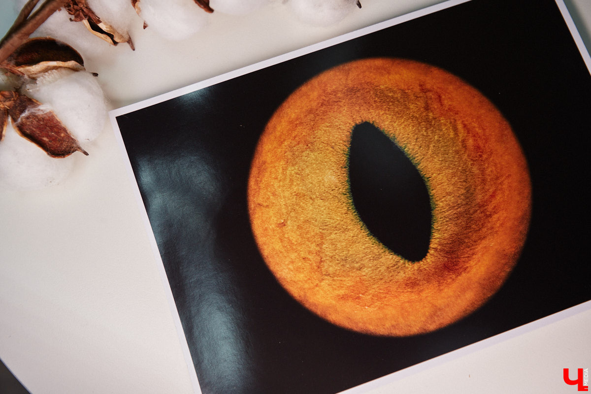 Красота в глазах смотрящего. Эту фразу можно интерпретировать по-разному. Например, местные ребята Елизавета Захарова и Владимир Фролов предпочитают заглядывать в окна души и фотографировать личные вселенные.