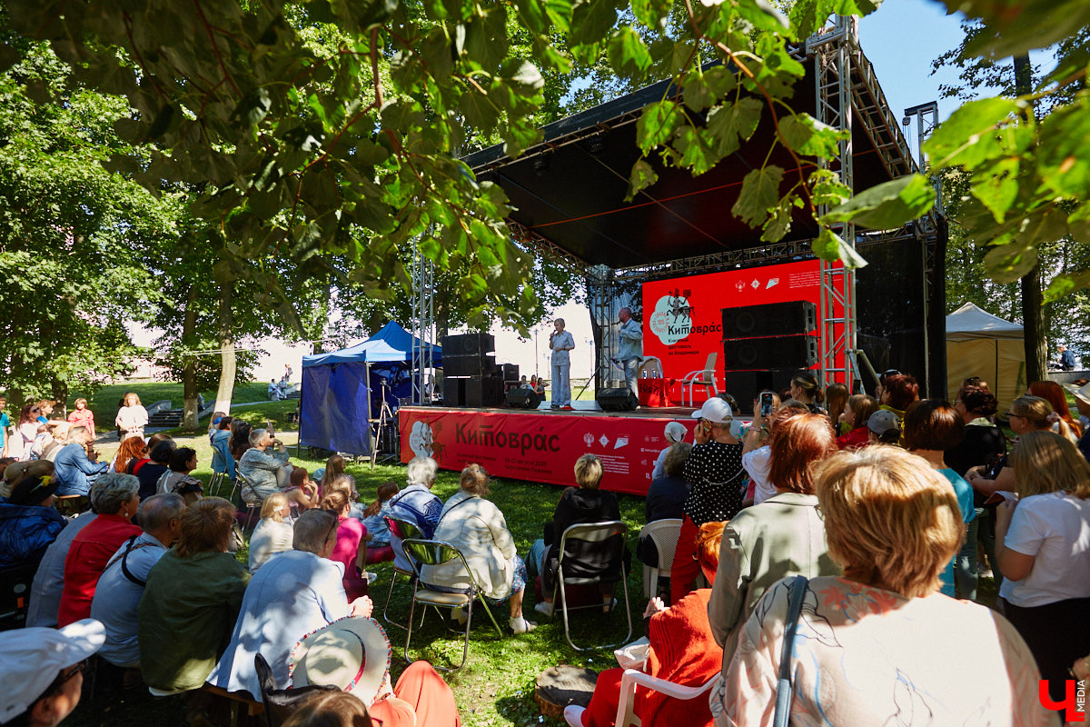 Пятый книжный фестиваль «Китоврас» сосредоточил вокруг себя все культурное сообщество Владимира. По традиции были на нем и звезды. Если в 2024-м столицу региона посетила Татьяна Толстая, то в этот раз приглашение получила королева ироничного детектива Дарья Донцова. Подробности события — в нашем фоторепортаже!