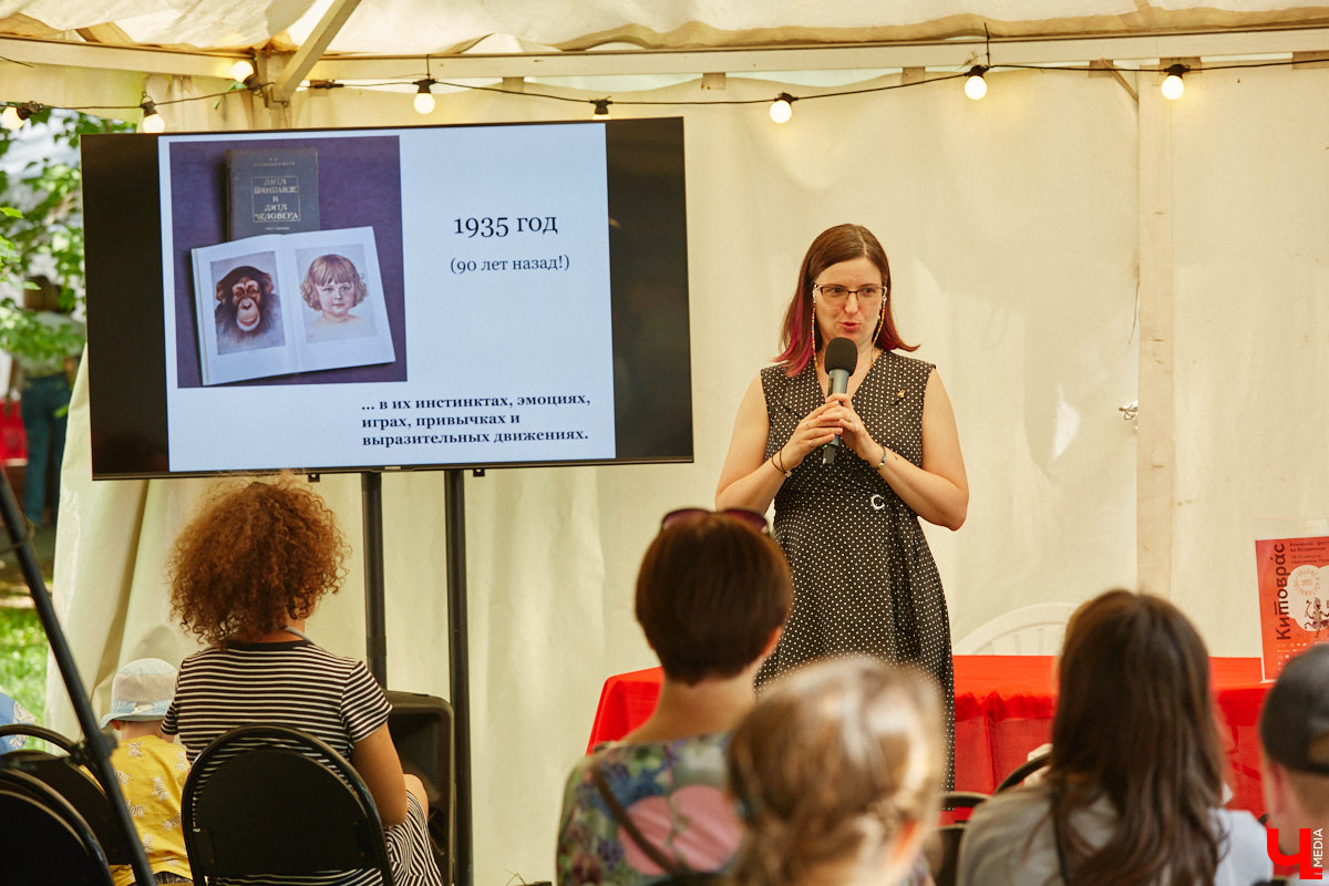 Пятый книжный фестиваль «Китоврас» сосредоточил вокруг себя все культурное сообщество Владимира. По традиции были на нем и звезды. Если в 2024-м столицу региона посетила Татьяна Толстая, то в этот раз приглашение получила королева ироничного детектива Дарья Донцова. Подробности события — в нашем фоторепортаже!