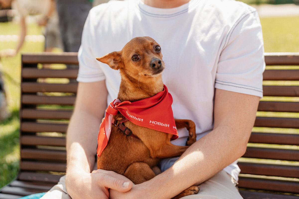 Сдача первого дома UNO во Владимире запланирована на следующий год, и команда застройщика активно работает над созданием системы управления. Девелоперы поделились новостями о том, какие уникальные опции предложит управляющая компания своим резидентам.