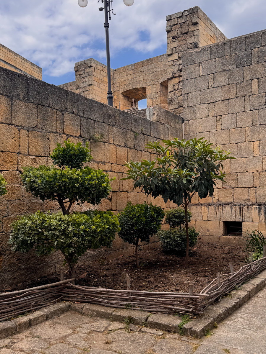 Есть места, где горы будто держат небо, а ветер врывается в сердце вместе с чувством свободы. Именно туда, в Дагестан, в край контрастов и древних легенд, отправились подруги из Владимира. Их путешествие оказалось похожим на фильм, в котором каждая сцена — новые открытия, настроение, образ.