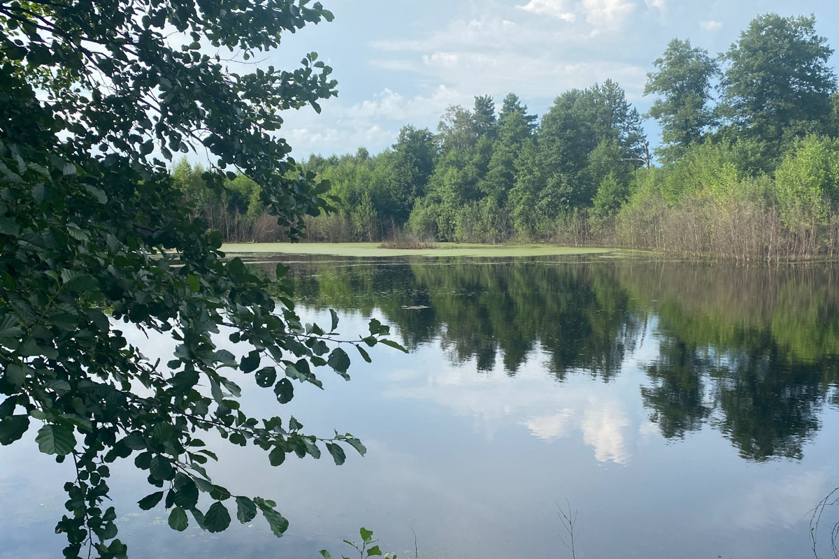 Есть во Владимирской области места с особой энергетикой. Их существование с давних времен сопровождается загадочными, даже порой пугающими легендами. Где-то земля уходит из-под ног, а где-то слышится звон оружия по ночам. Составили для вас список локаций, которые произведут впечатление на любителей острых ощущений.