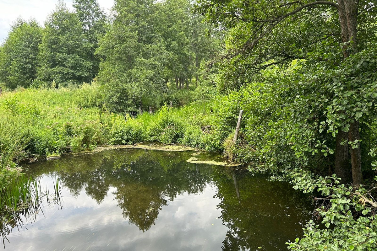Есть во Владимирской области места с особой энергетикой. Их существование с давних времен сопровождается загадочными, даже порой пугающими легендами. Где-то земля уходит из-под ног, а где-то слышится звон оружия по ночам. Составили для вас список локаций, которые произведут впечатление на любителей острых ощущений.