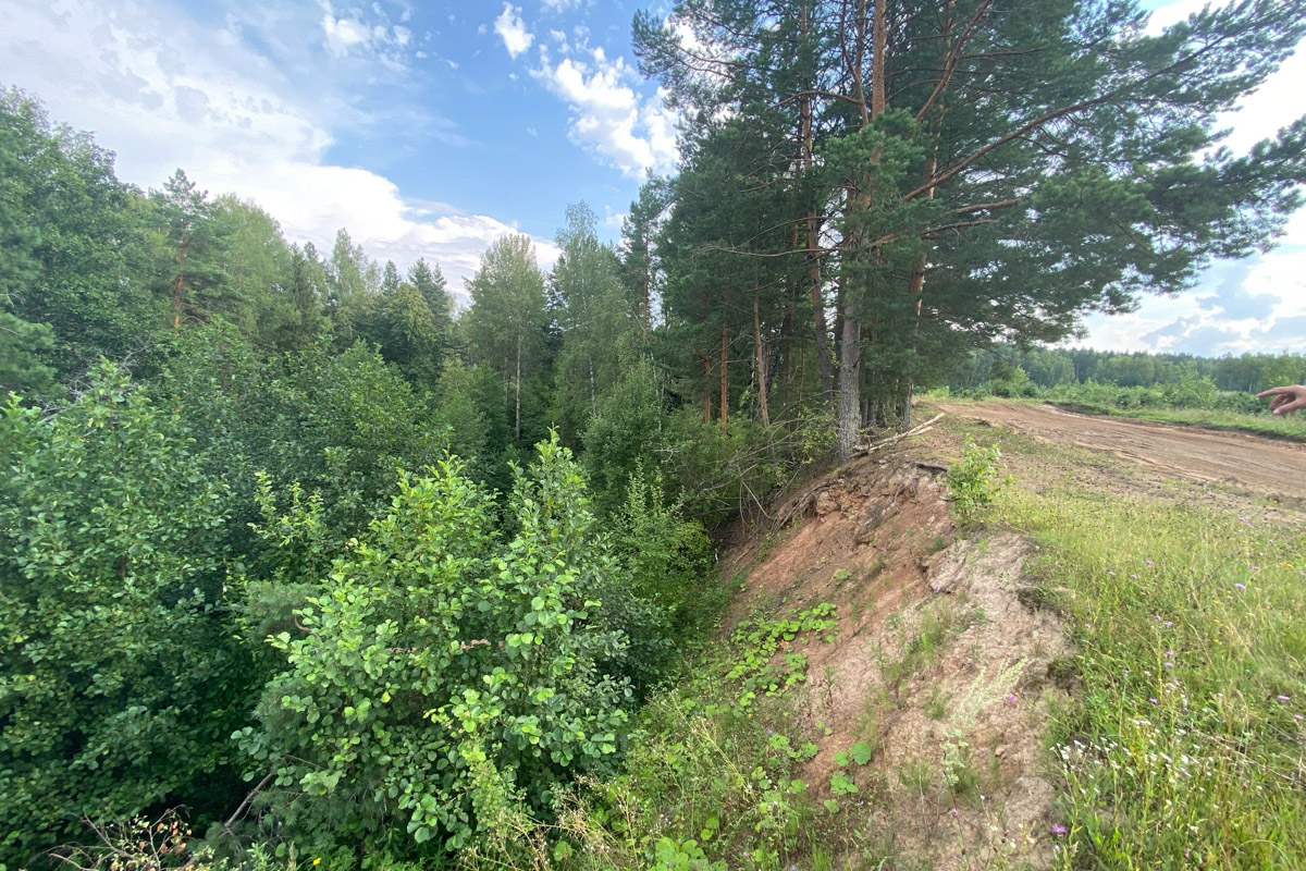 Есть во Владимирской области места с особой энергетикой. Их существование с давних времен сопровождается загадочными, даже порой пугающими легендами. Где-то земля уходит из-под ног, а где-то слышится звон оружия по ночам. Составили для вас список локаций, которые произведут впечатление на любителей острых ощущений.