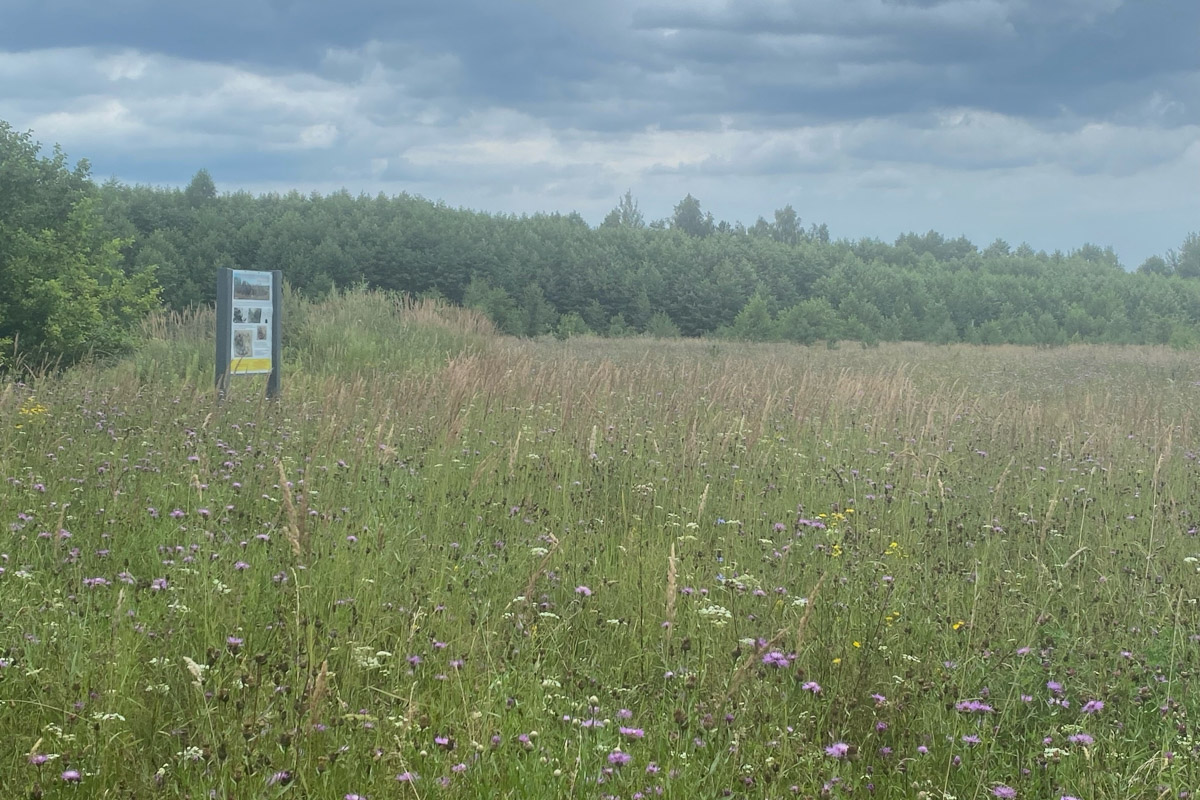 Есть во Владимирской области места с особой энергетикой. Их существование с давних времен сопровождается загадочными, даже порой пугающими легендами. Где-то земля уходит из-под ног, а где-то слышится звон оружия по ночам. Составили для вас список локаций, которые произведут впечатление на любителей острых ощущений.