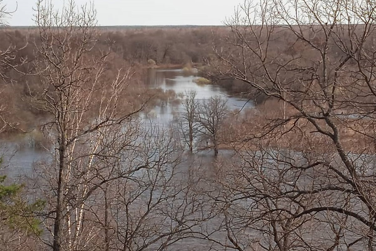 Есть во Владимирской области места с особой энергетикой. Их существование с давних времен сопровождается загадочными, даже порой пугающими легендами. Где-то земля уходит из-под ног, а где-то слышится звон оружия по ночам. Составили для вас список локаций, которые произведут впечатление на любителей острых ощущений.