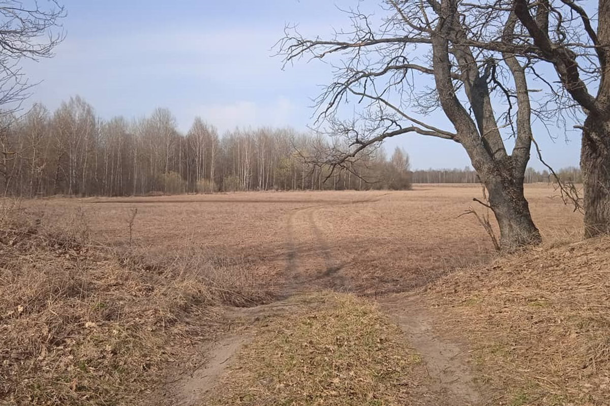 Есть во Владимирской области места с особой энергетикой. Их существование с давних времен сопровождается загадочными, даже порой пугающими легендами. Где-то земля уходит из-под ног, а где-то слышится звон оружия по ночам. Составили для вас список локаций, которые произведут впечатление на любителей острых ощущений.