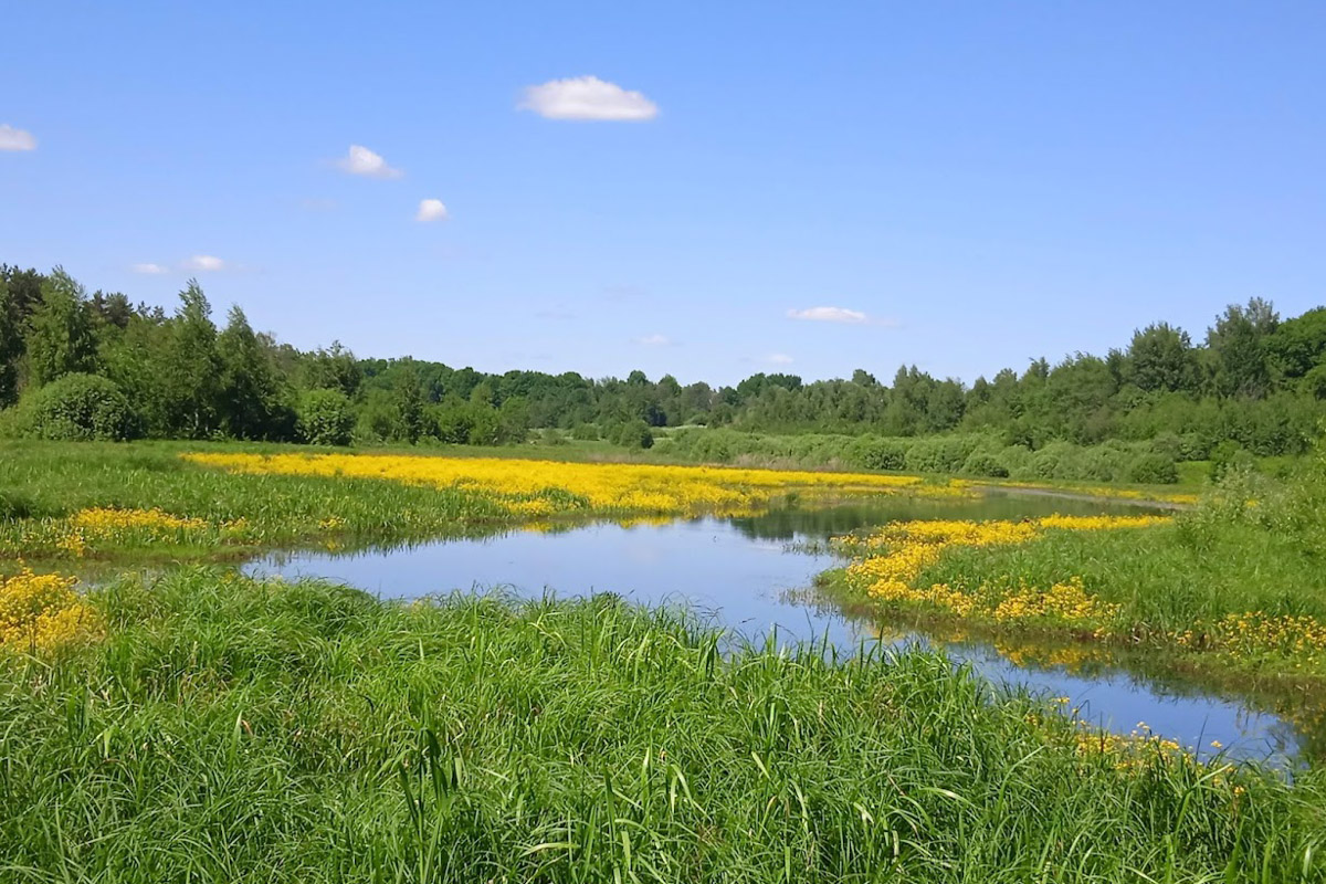 Есть во Владимирской области места с особой энергетикой. Их существование с давних времен сопровождается загадочными, даже порой пугающими легендами. Где-то земля уходит из-под ног, а где-то слышится звон оружия по ночам. Составили для вас список локаций, которые произведут впечатление на любителей острых ощущений.