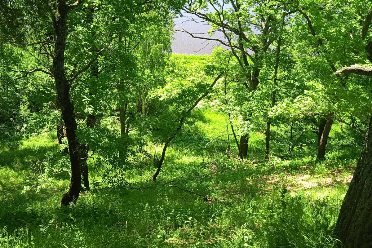 Есть во Владимирской области места с особой энергетикой. Их существование с давних времен сопровождается загадочными, даже порой пугающими легендами. Где-то земля уходит из-под ног, а где-то слышится звон оружия по ночам. Составили для вас список локаций, которые произведут впечатление на любителей острых ощущений.