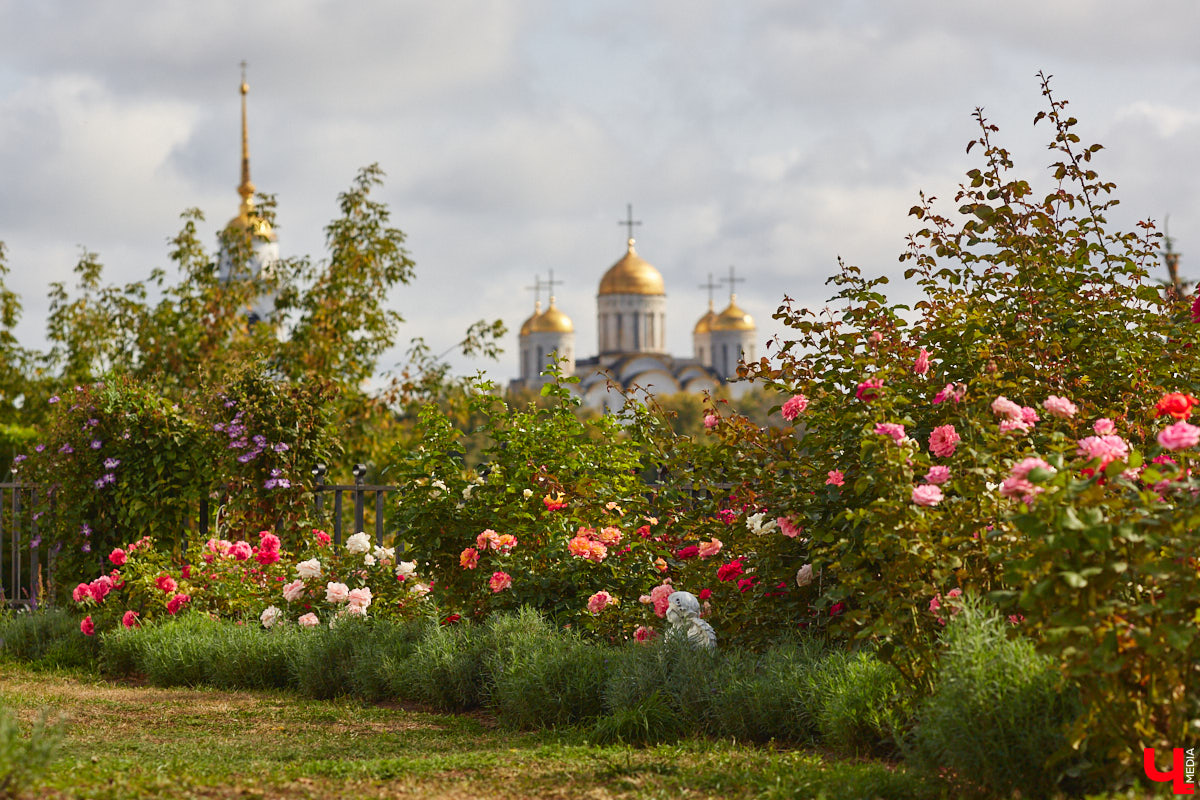 Предлагаем не тратить время на расспросы, где же вечный май, а со всей стойкостью встретить осеннюю пору. Тем более пока прогноз на сентябрь весьма утешительный, по крайней мере на первую его неделю. Впрочем, дождь таки может разрисовать окна, а вспышки на солнце — повлиять на метеозависимых.