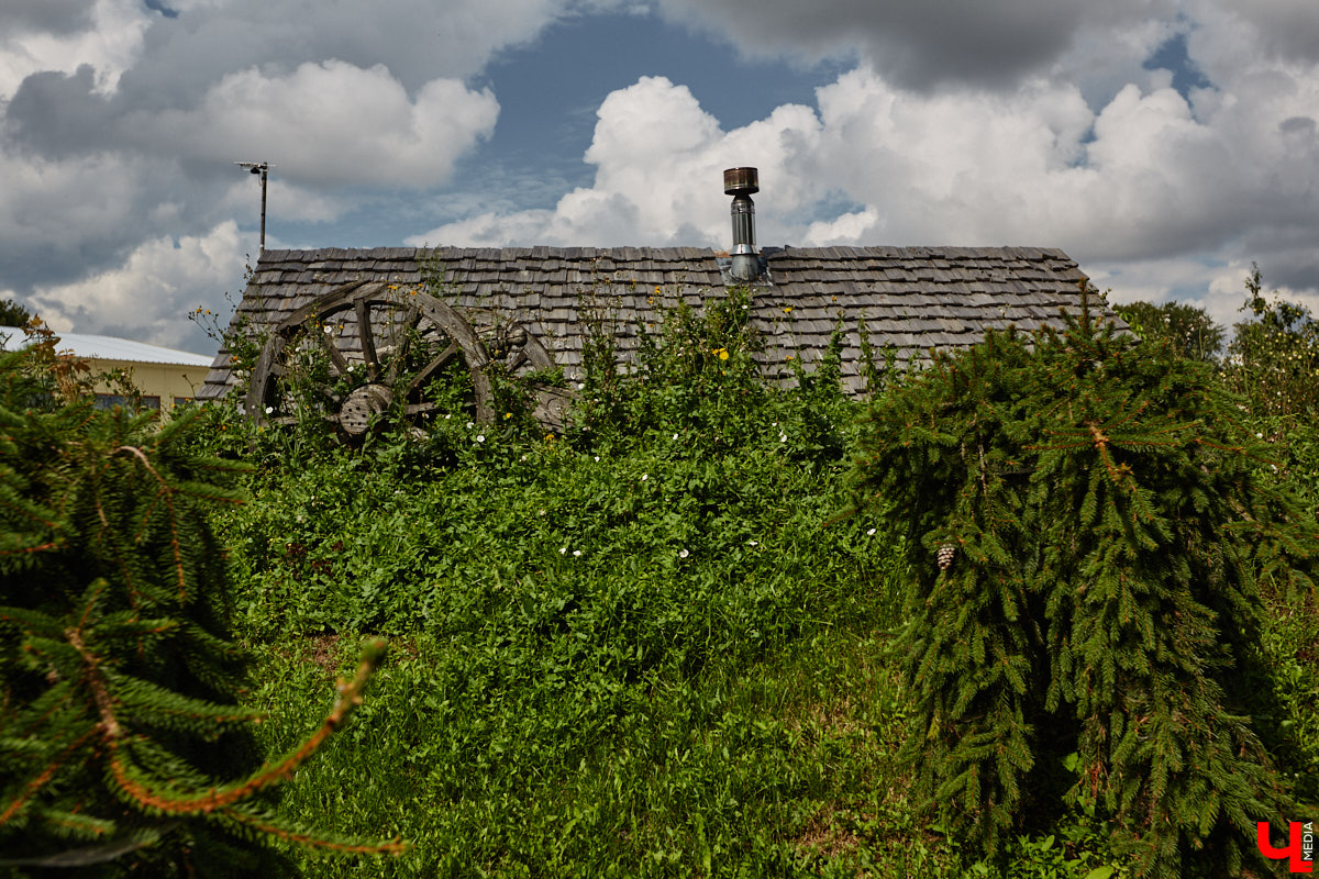 Есть в Суздальском районе дом, куда точно можно продавать билеты. В нем три этажа с удивительными предметами из частной коллекции. Кажется, там есть всё, начиная от редких самоваров и заканчивая коллекционными самокатами. Восторг вызывает также участок с замком Рапунцель. Хозяин строения, полного чудес, Юрий Жаров провел для «Ключ-Медиа» подробную экскурсию по своим владениям.