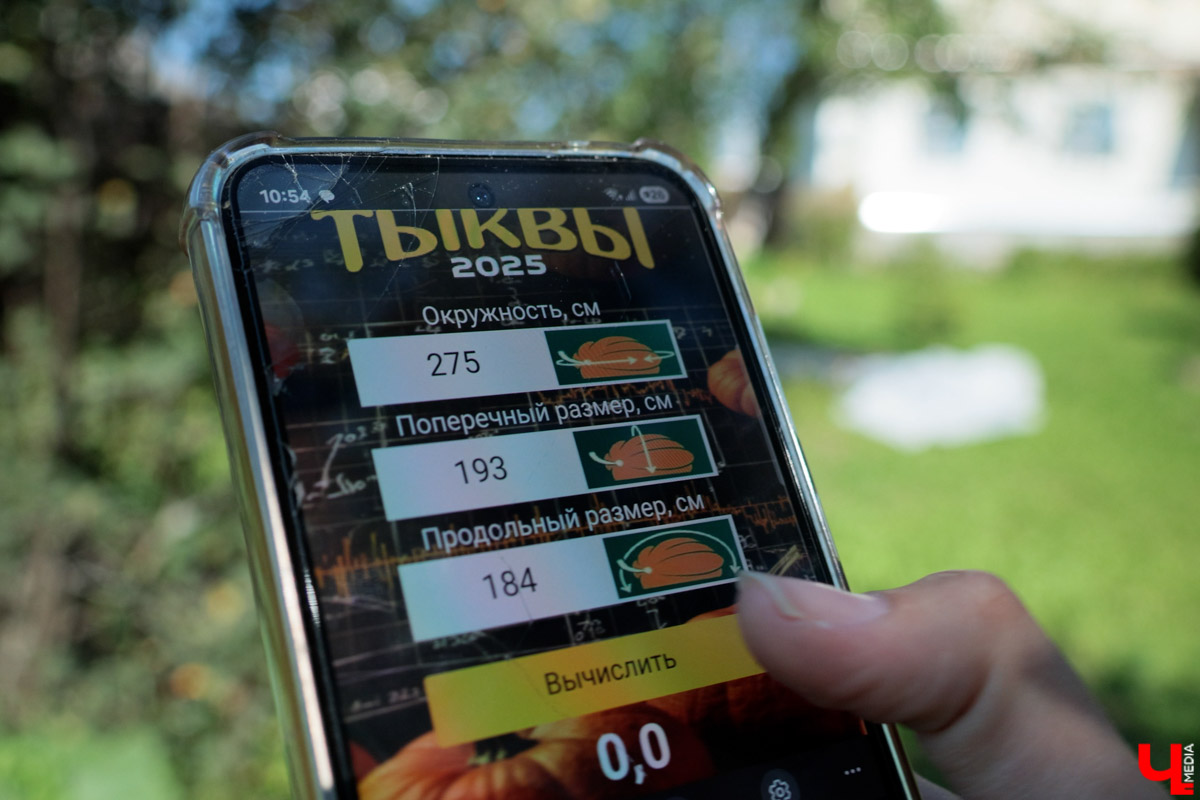 Жители Владимирской области подводят дачные итоги прошедшего лета. И они заставляют не на шутку удивиться! На участках в регионе взрастили настоящую экзотику в виде персиков и арбузов, а также собрали плоды самых непривычных размеров.