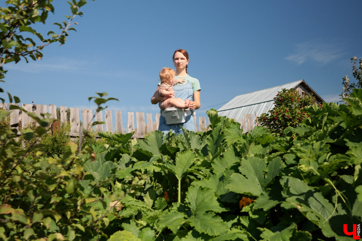 Жители Владимирской области подводят дачные итоги прошедшего лета. И они заставляют не на шутку удивиться! На участках в регионе взрастили настоящую экзотику в виде персиков и арбузов, а также собрали плоды самых непривычных размеров.