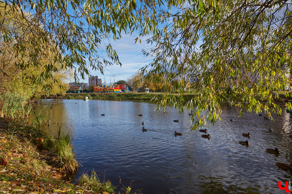 Владимирские улицы не перестают преображаться. В середине лета внешний вид улучшили сразу несколько зон отдыха. На них город, конечно, не остановился. К началу осени ожил еще ряд скверов, а некоторые точки притяжения поставили в режим ожидания.