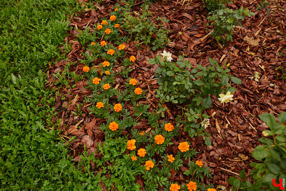 Владимирские улицы не перестают преображаться. В середине лета внешний вид улучшили сразу несколько зон отдыха. На них город, конечно, не остановился. К началу осени ожил еще ряд скверов, а некоторые точки притяжения поставили в режим ожидания.