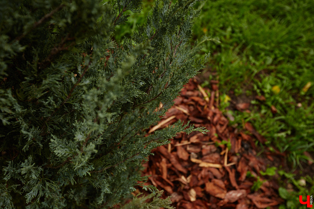 Владимирские улицы не перестают преображаться. В середине лета внешний вид улучшили сразу несколько зон отдыха. На них город, конечно, не остановился. К началу осени ожил еще ряд скверов, а некоторые точки притяжения поставили в режим ожидания.