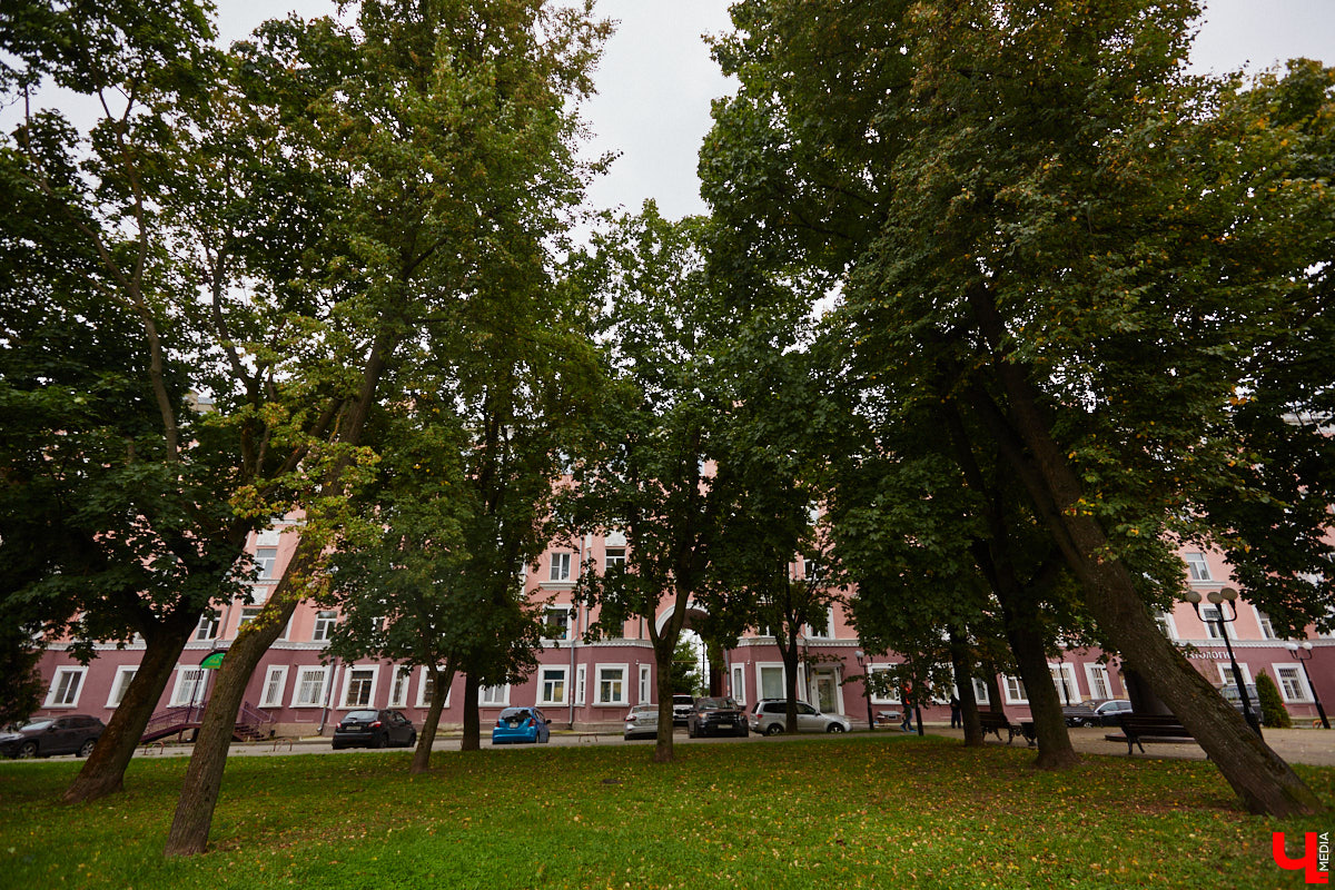 Владимирские улицы не перестают преображаться. В середине лета внешний вид улучшили сразу несколько зон отдыха. На них город, конечно, не остановился. К началу осени ожил еще ряд скверов, а некоторые точки притяжения поставили в режим ожидания.