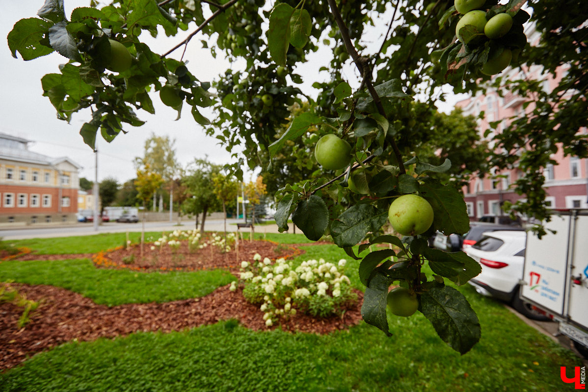 Владимирские улицы не перестают преображаться. В середине лета внешний вид улучшили сразу несколько зон отдыха. На них город, конечно, не остановился. К началу осени ожил еще ряд скверов, а некоторые точки притяжения поставили в режим ожидания.