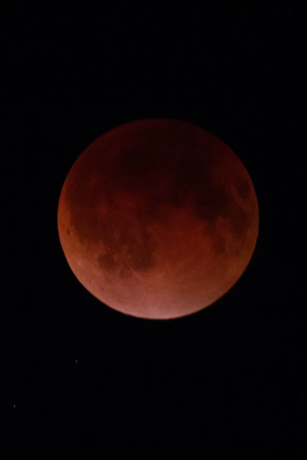 Жители Владимирской области стали свидетелями уникального природного явления — полного лунного затмения. Наблюдать за тем, как тень Земли скрывает ночное светило, можно было практически отовсюду. А потому столь редкое астрономическое событие вызвало ажиотаж среди фотографов и любителей науки о небесных телах и Вселенной. «Ключ-Медиа» собрал самые эффектные снимки.