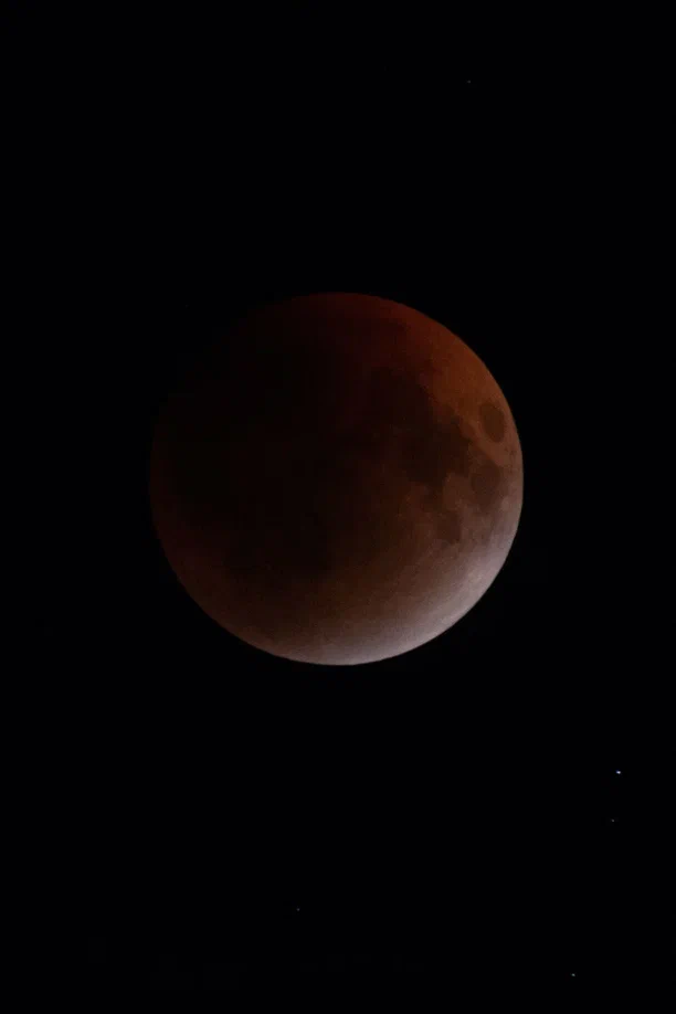 Жители Владимирской области стали свидетелями уникального природного явления — полного лунного затмения. Наблюдать за тем, как тень Земли скрывает ночное светило, можно было практически отовсюду. А потому столь редкое астрономическое событие вызвало ажиотаж среди фотографов и любителей науки о небесных телах и Вселенной. «Ключ-Медиа» собрал самые эффектные снимки.