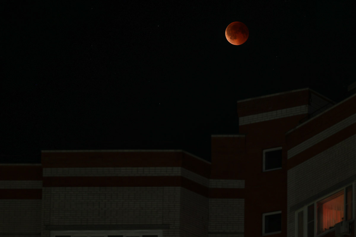 Жители Владимирской области стали свидетелями уникального природного явления — полного лунного затмения. Наблюдать за тем, как тень Земли скрывает ночное светило, можно было практически отовсюду. А потому столь редкое астрономическое событие вызвало ажиотаж среди фотографов и любителей науки о небесных телах и Вселенной. «Ключ-Медиа» собрал самые эффектные снимки.