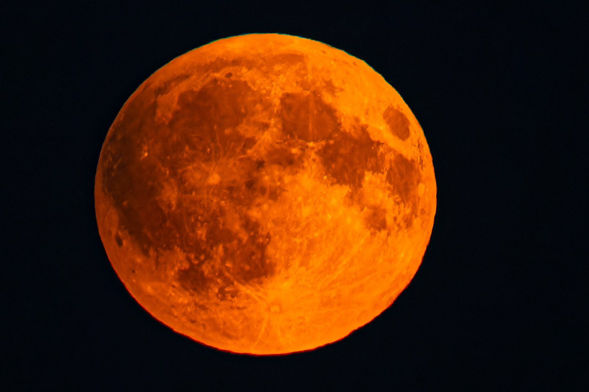 Жители Владимирской области стали свидетелями уникального природного явления — полного лунного затмения. Наблюдать за тем, как тень Земли скрывает ночное светило, можно было практически отовсюду. А потому столь редкое астрономическое событие вызвало ажиотаж среди фотографов и любителей науки о небесных телах и Вселенной. «Ключ-Медиа» собрал самые эффектные снимки.