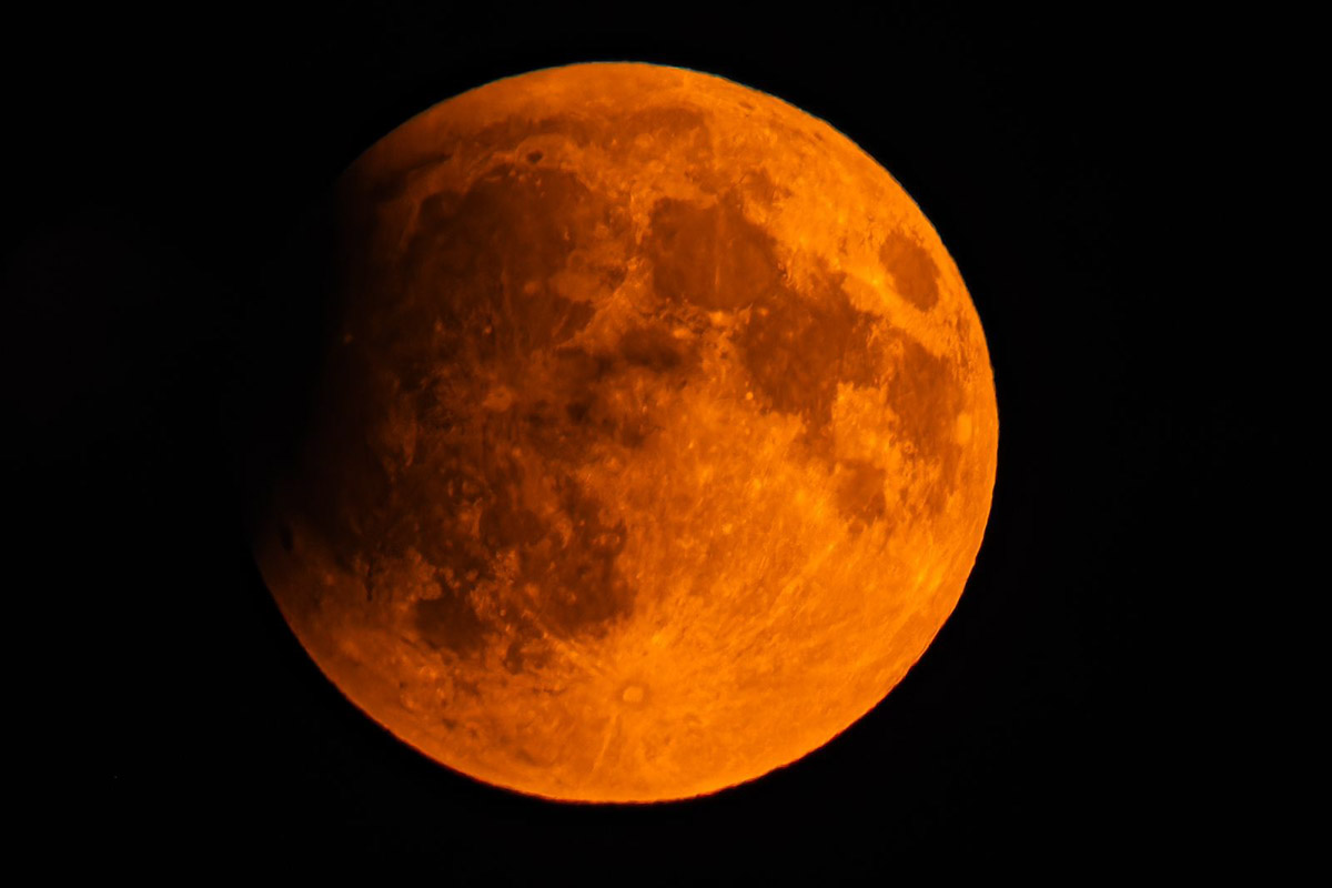 Жители Владимирской области стали свидетелями уникального природного явления — полного лунного затмения. Наблюдать за тем, как тень Земли скрывает ночное светило, можно было практически отовсюду. А потому столь редкое астрономическое событие вызвало ажиотаж среди фотографов и любителей науки о небесных телах и Вселенной. «Ключ-Медиа» собрал самые эффектные снимки.