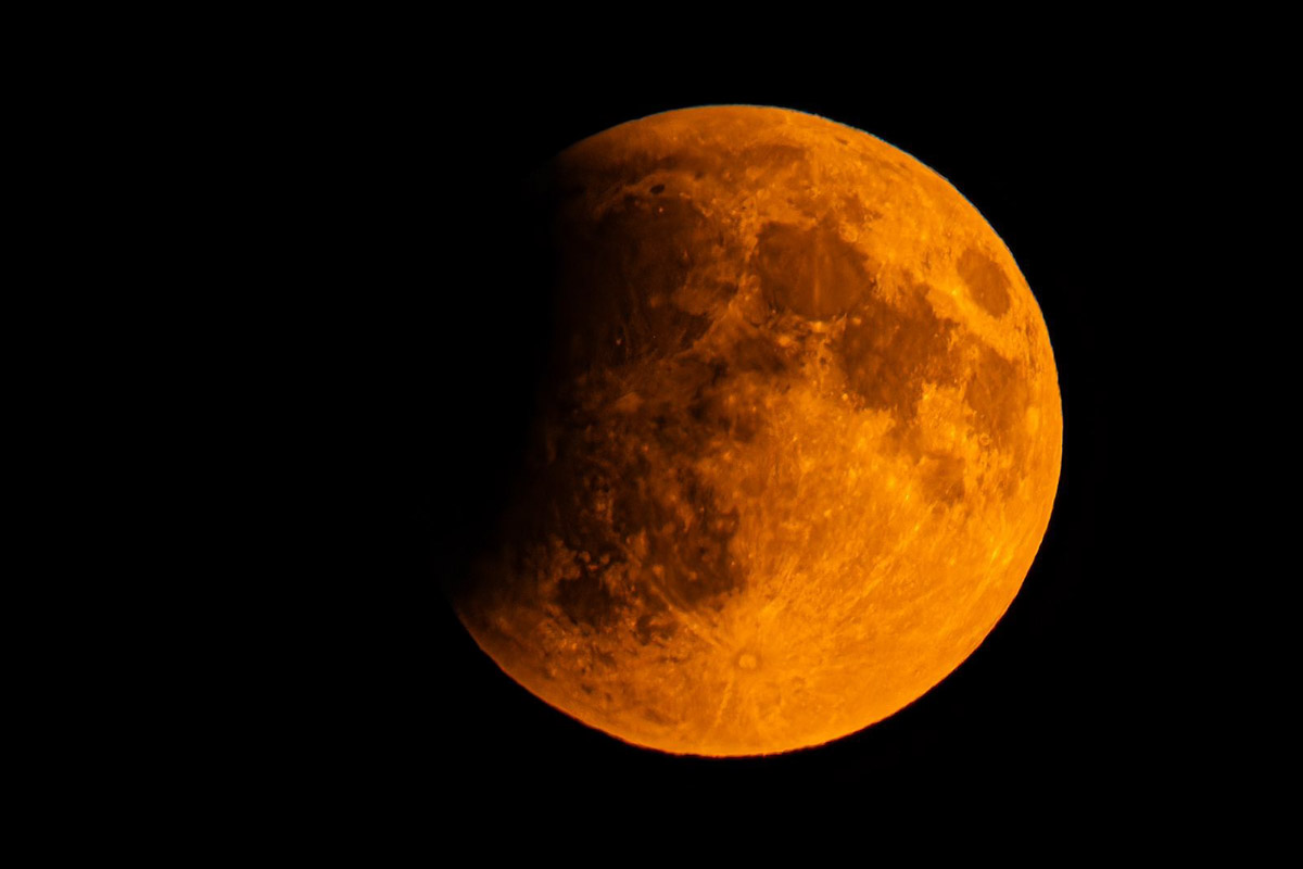 Жители Владимирской области стали свидетелями уникального природного явления — полного лунного затмения. Наблюдать за тем, как тень Земли скрывает ночное светило, можно было практически отовсюду. А потому столь редкое астрономическое событие вызвало ажиотаж среди фотографов и любителей науки о небесных телах и Вселенной. «Ключ-Медиа» собрал самые эффектные снимки.