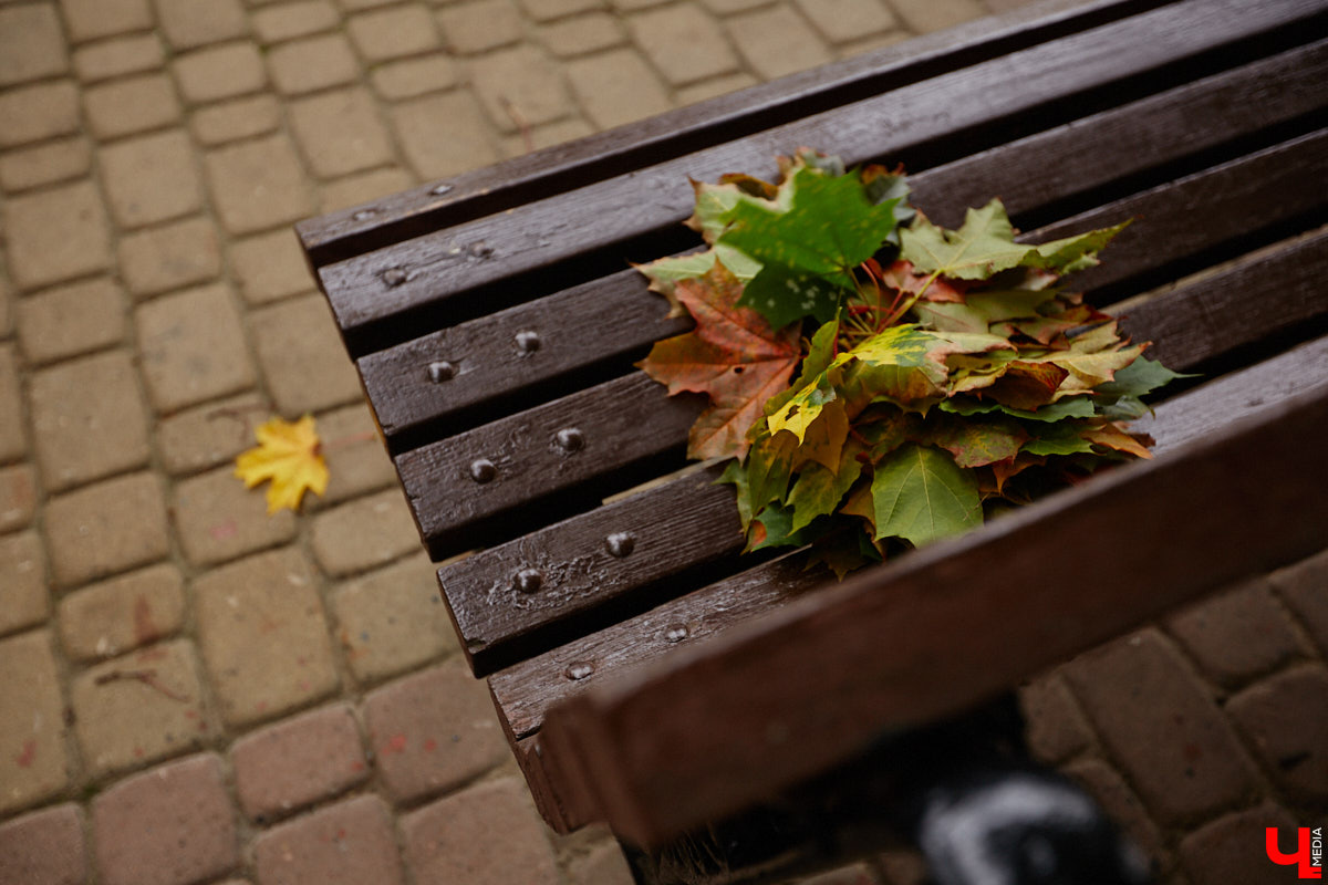 «Остановись, мгновенье, ты прекрасно!» В регионе установилась чудесная пора, созданная для задумчивых прогулок и чтения на лавочках. Увы, растянуть этот период не получится, и синоптики поведали, как долго он продлится.