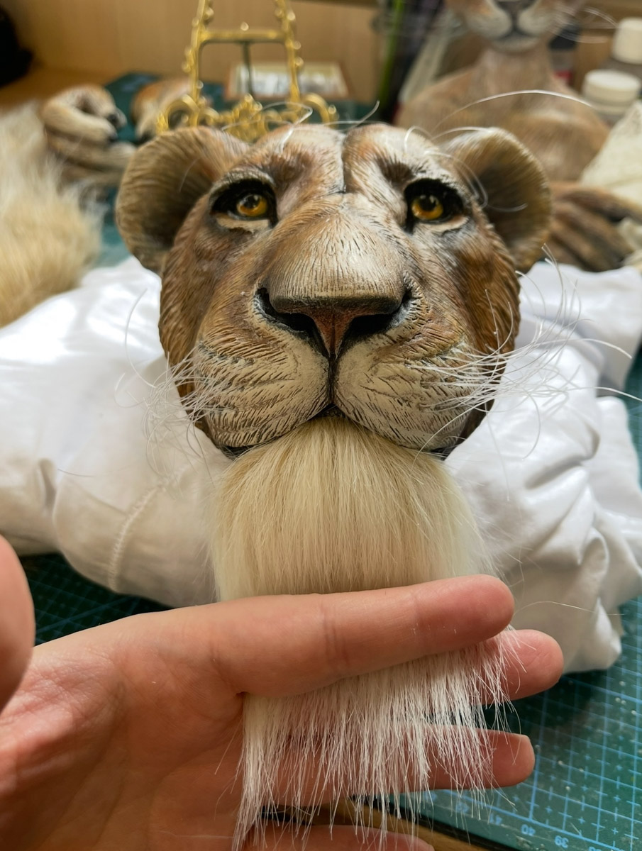 Вы помните, что получили в подарок на свадьбу? Согласитесь, конверты с купюрами — презент приятный, но не слишком запоминающийся. Как покорить сердца молодоженов в торжественный для них день, точно знает владимирская художница Елена Дьячкова, известная своими авторскими куклами. По заказу подруги она изготовила семейную пару в образе львов.