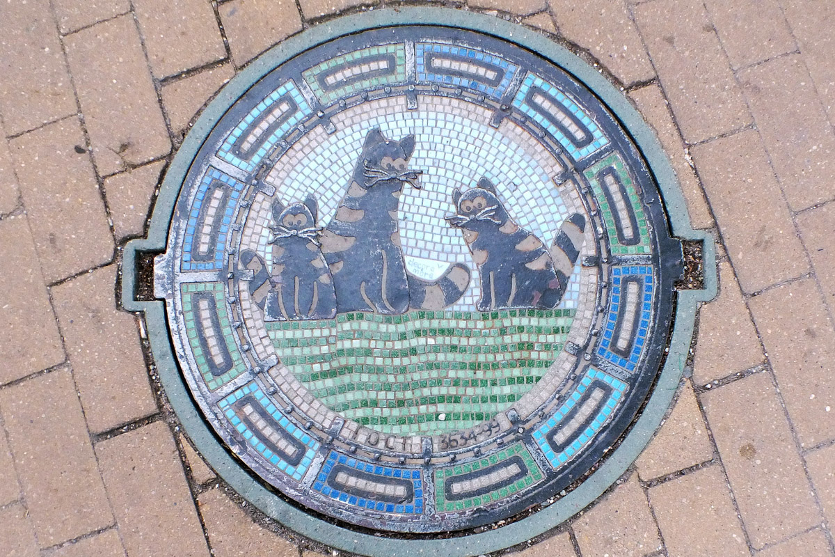 Город не заканчивается на местах и деталях, доступных широкой публике. Иногда самое интересное открывается самым любопытным прохожим. Анастасия Егорова из их числа. В поездках по стране и миру она нашла немало интересных люков, закрывающих смотровые колодцы подземных инженерных коммуникаций. Самые удивительные артефакты девушка показала «Ключ-Медиа».