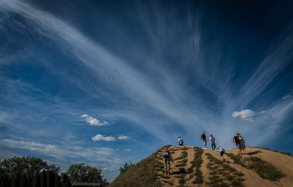 Вы когда-нибудь видели в небе огромную стаю птиц, выписывающих в едином порыве сложные фигуры: волну или знак бесконечности? Если нет, самое время отправиться в Суздаль и насладиться необычным танцем пернатых — мурмурацией.