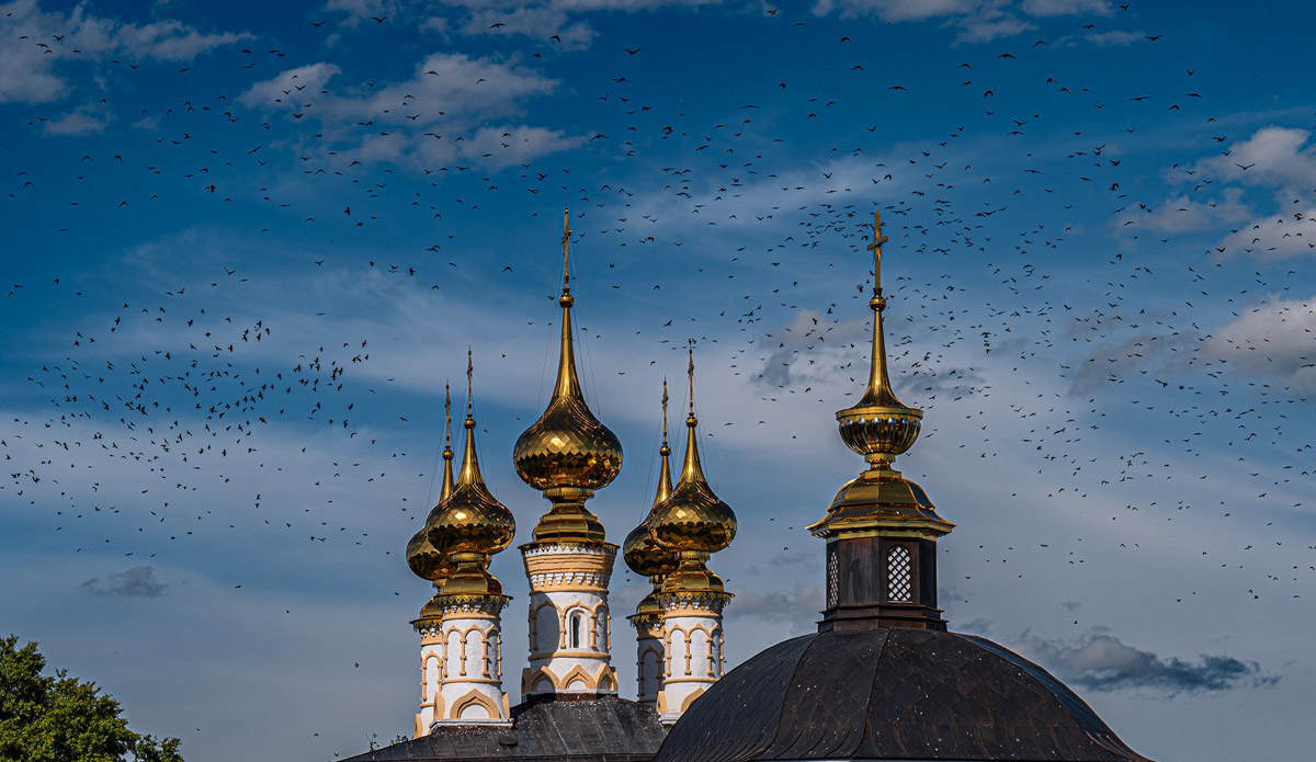 Вы когда-нибудь видели в небе огромную стаю птиц, выписывающих в едином порыве сложные фигуры: волну или знак бесконечности? Если нет, самое время отправиться в Суздаль и насладиться необычным танцем пернатых — мурмурацией.