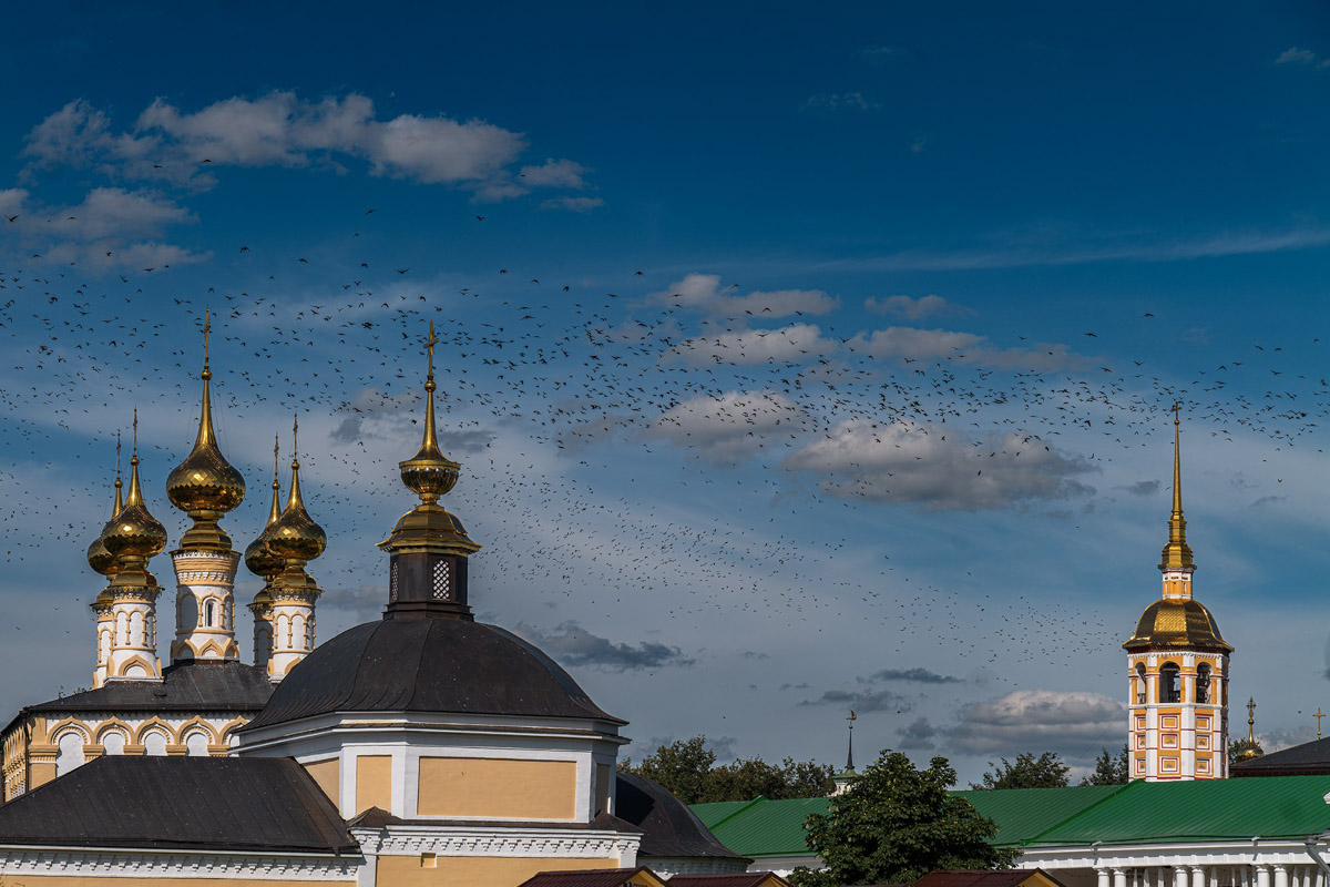 Вы когда-нибудь видели в небе огромную стаю птиц, выписывающих в едином порыве сложные фигуры: волну или знак бесконечности? Если нет, самое время отправиться в Суздаль и насладиться необычным танцем пернатых — мурмурацией.
