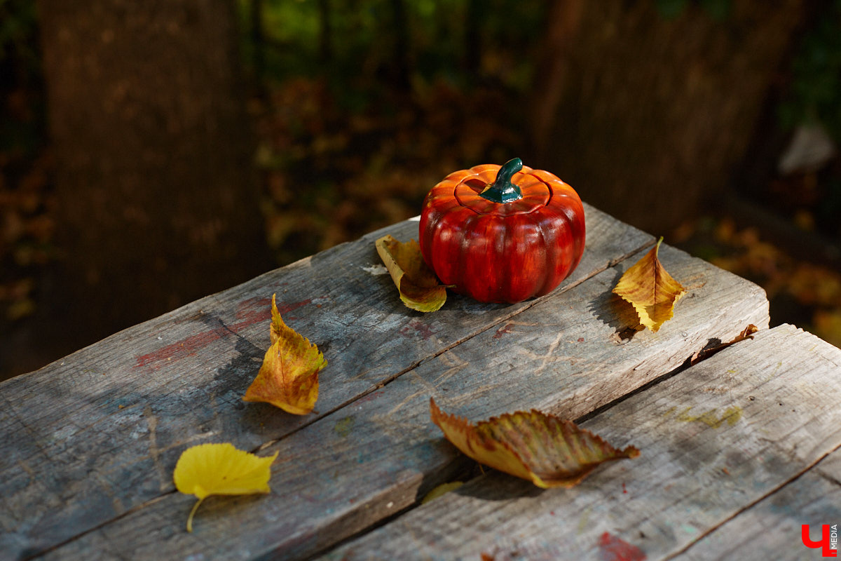 Без сомнений: Золотые ворота — сердце Владимира. Пожалуй, нет памятника, который олицетворял бы город лучше. И пока белокаменный шедевр скрыт на время реставрации зеленой фасадной сеткой, «Ключ-Медиа» смог полюбоваться его миниатюрой в исполнении мастерицы Анастасии Лещинской.