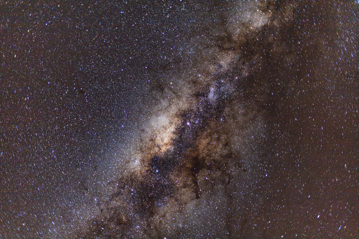 Семь тысяч километров по четырем странам Африки — вот это настоящие приключения! Семья из Владимира явно не прогадала с маршрутом. В течение трех недель любители экзотики ночевали в палатках рядом с бегемотами, встречали львов и жирафов в дикой природе, любовались морскими котиками и фламинго, а также освоили технику экстремального вождения по песку. А еще сделали более тысячи невероятных фотографий, и некоторыми из них поделились с нашим изданием.